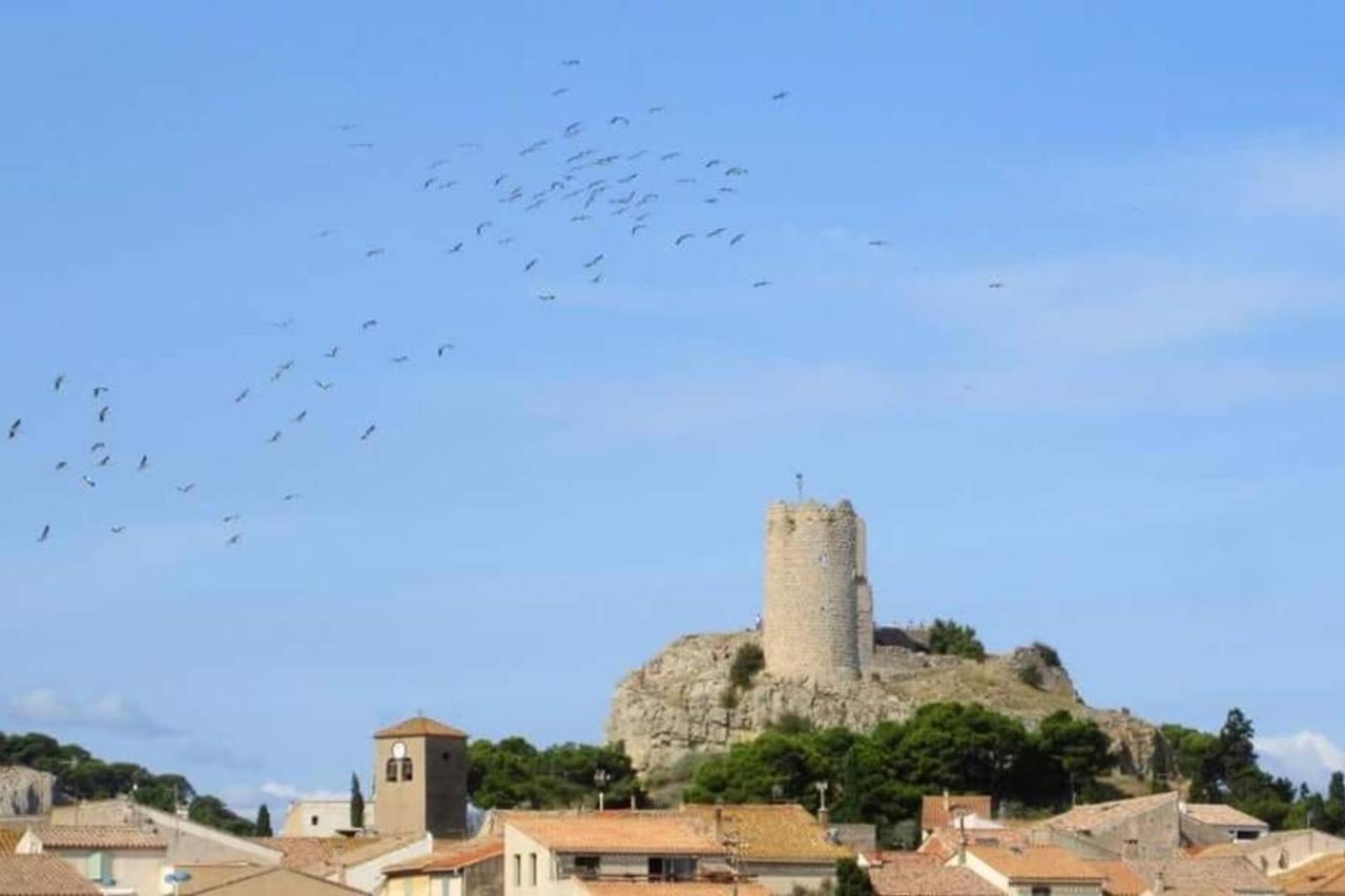Studio Sur Le Port, Climatisation, Wifi, Piscine, Lave-Linge Gruissan Exterior foto